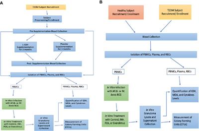 Effects of Oral Liposomal Glutathione in Altering the Immune Responses Against Mycobacterium tuberculosis and the Mycobacterium bovis BCG Strain in Individuals With Type 2 Diabetes